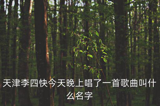 天津李四快今天晚上唱了一首歌曲叫什么名字