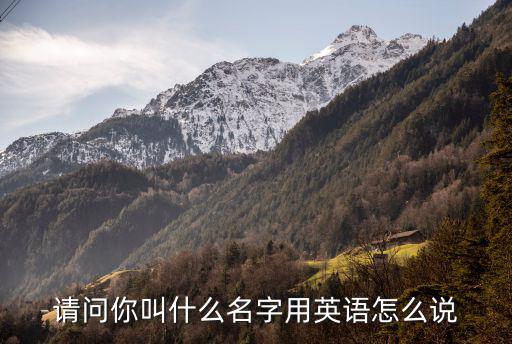請問你叫什么名字用英語怎么說