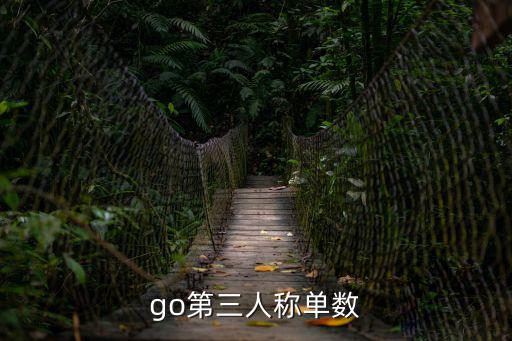 go的三單形式,直接在動詞后面加冠病名字就可以了!