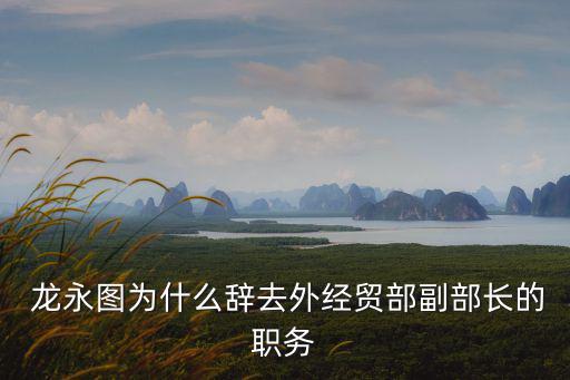 龍永圖,兼職也要當好博鰲亞洲論壇秘書長