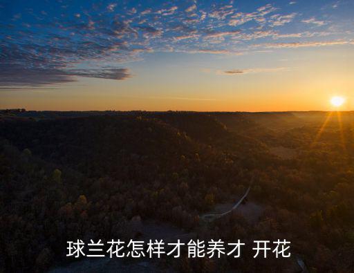球蘭什么時候開花,春秋兩季宜放窗戶陽臺上或室內南窗附近養花