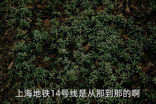 上海地鐵14號(hào)線是從那到那的啊