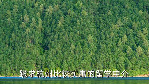 跪求杭州比較實(shí)惠的留學(xué)中介