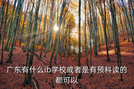 句容ib國際學校，廣東有什么ib學校或者是有預科讀的都可以