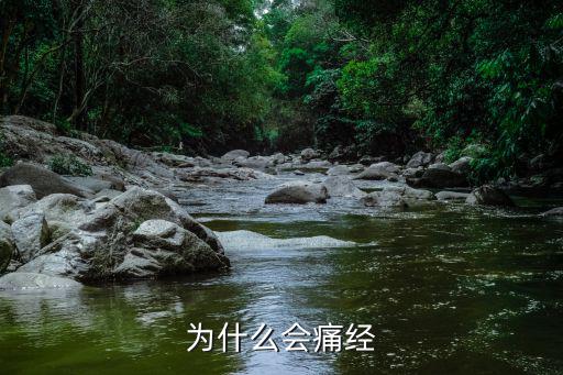 月經(jīng)為什么會(huì)疼,月經(jīng)來(lái)襲怎么辦?可以這樣做!