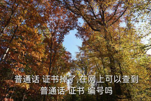  普通話(huà) 證書(shū)掉了,在網(wǎng)上可以查到 普通話(huà) 證書(shū) 編號(hào)嗎