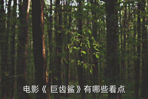 電影《 巨齒鯊》有哪些看點