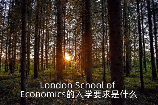 London School of Economics的入學要求是什么
