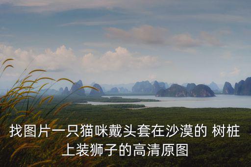 找圖片一只貓咪戴頭套在沙漠的 樹樁上裝獅子的高清原圖