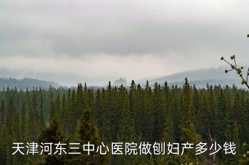 天津河東三中心醫院做刨婦產多少錢