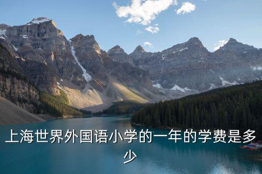 上海世界外國語小學的一年的學費是多少