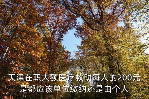 天津在職大額醫(yī)療救助每人的200元是都應(yīng)該單位繳納還是由個(gè)人