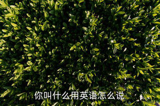 你叫什么用英語怎么說
