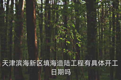 天津濱海新區填海造陸工程有具體開工日期嗎
