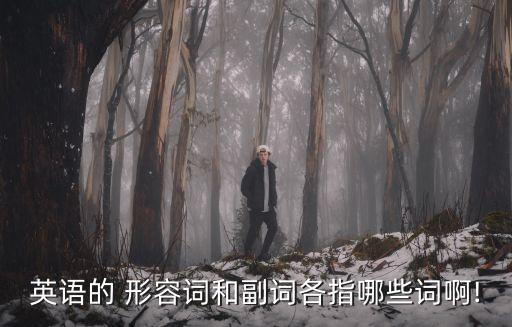 英語的 形容詞和副詞各指哪些詞啊!