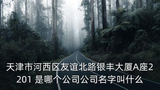 天津市河西區友誼北路銀豐大廈A座2201 是哪個公司公司名字叫什么