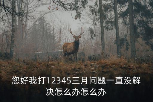 您好我打12345三月問題一直沒解決怎么辦怎么辦