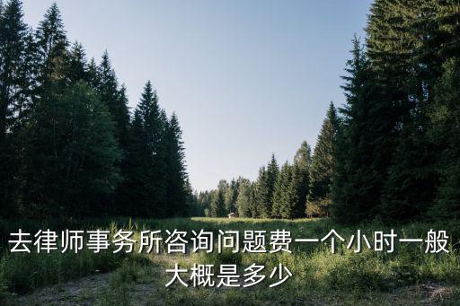 去律師事務所咨詢問題費一個小時一般大概是多少