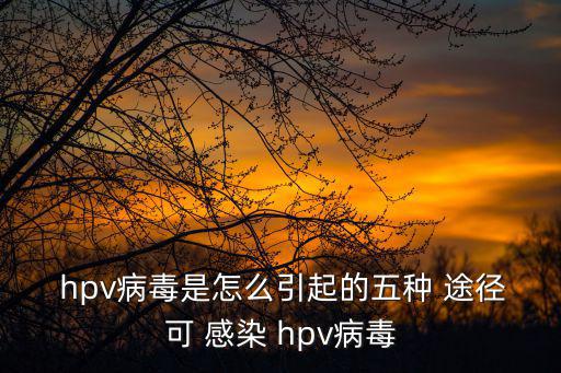  hpv病毒是怎么引起的五種 途徑可 感染 hpv病毒