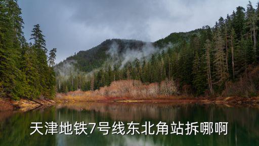 天津地鐵7號線東北角站拆哪啊