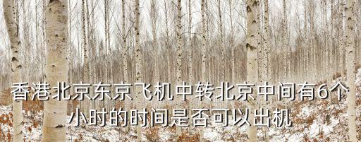 香港北京東京飛機(jī)中轉(zhuǎn)北京中間有6個(gè)小時(shí)的時(shí)間是否可以出機(jī)