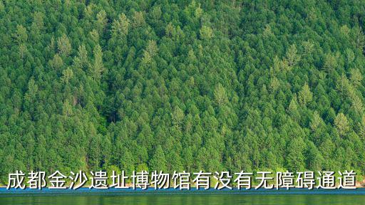 成都金沙遺址博物館有沒有無障礙通道