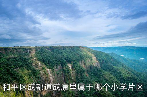 和平區成都道成康里屬于哪個小學片區