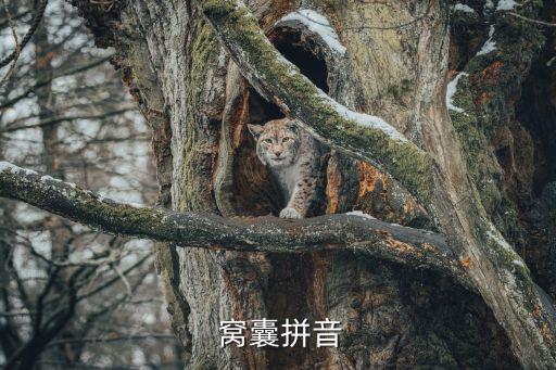  窩囊拼音