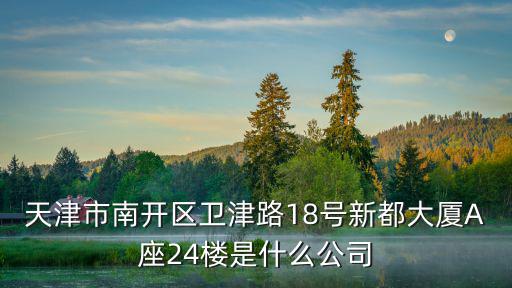 天津市南開區(qū)衛(wèi)津路18號(hào)新都大廈A座24樓是什么公司