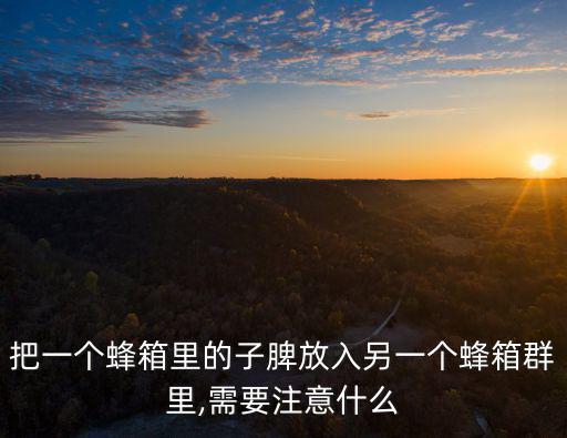 子脾,從最里面的脾臟取出按照原來的順序放入新盒子中