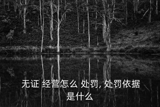  無證 經營怎么 處罰, 處罰依據是什么