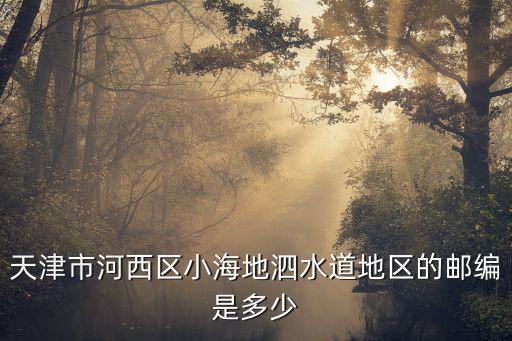 天津市河西區(qū)小海地泗水道地區(qū)的郵編是多少