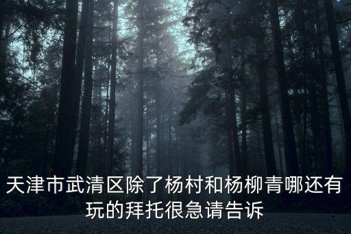 天津市武清區除了楊村和楊柳青哪還有玩的拜托很急請告訴