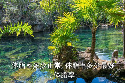 體脂率多少正常,正常成年人體脂率男性分別為15%和18%