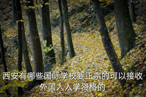 西安有哪些國際學校要正宗的可以接收外國人入學資格的