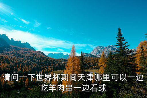 天津市燒烤看球，天津哪有看歐洲杯的球迷酒吧氣氛好點的急啊