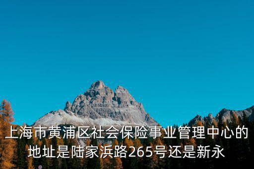 上海市黃浦區社會保險事業管理中心的地址是陸家浜路265號還是新永