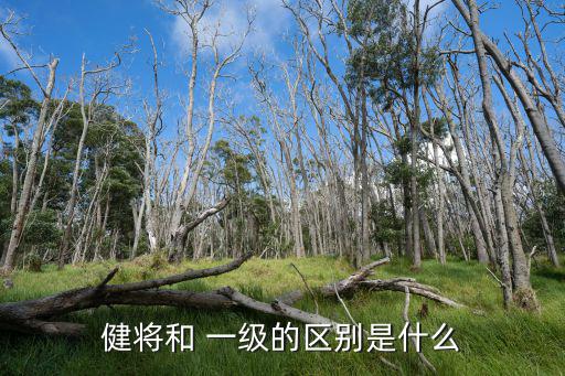 一級運動員,22高等學府畢業生可申請國家二等運動員證書