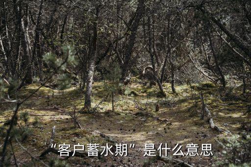 預熱期,全球速賣通雙11預熱期、正式期、期活動分階段進行