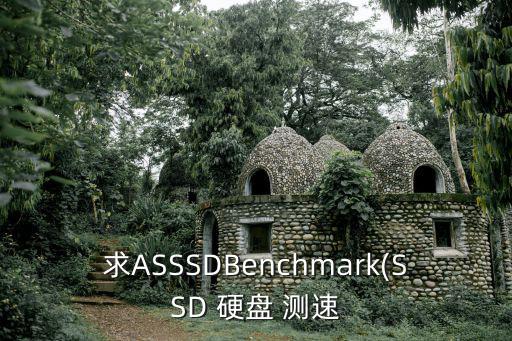 求ASSSDBenchmark(SSD 硬盤 測速