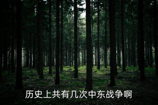 歷史上共有幾次中東戰爭啊