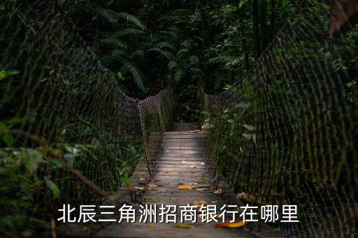 天津市北辰招商支行有多遠，天津招商銀行在哪