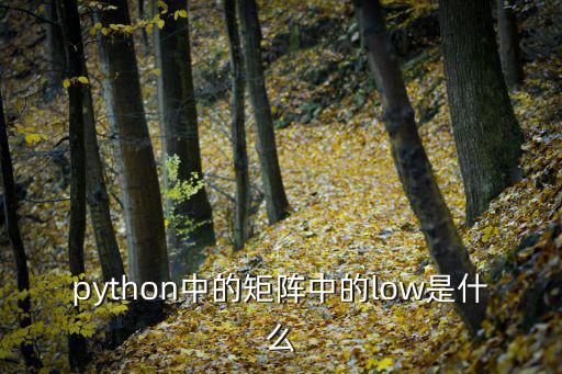 python中的矩陣中的low是什么
