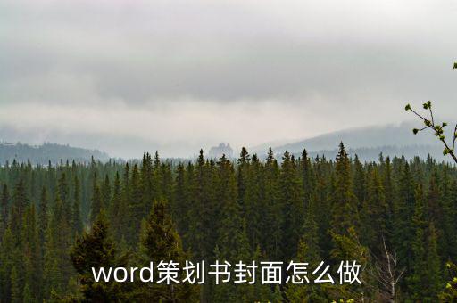 word策劃書封面怎么做
