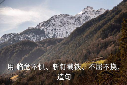 用 臨危不懼、斬釘截鐵、不屈不撓, 造句