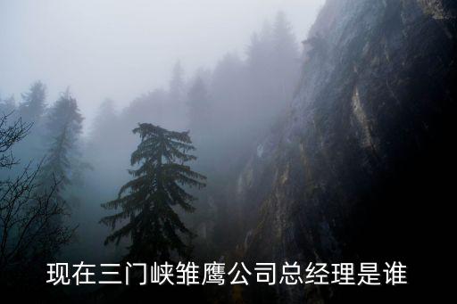 三門峽市最新任免名單，現在三門峽雛鷹公司總經理是誰