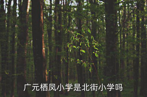 廣元棲鳳小學(xué)是北街小學(xué)嗎