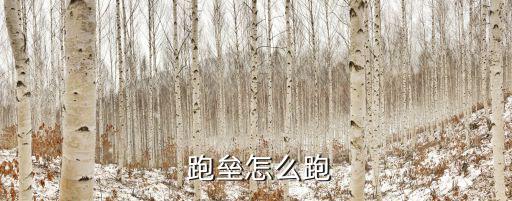  跑壘怎么跑