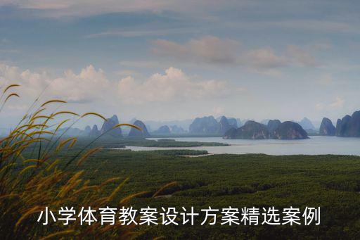 小學體育教案設計方案精選案例