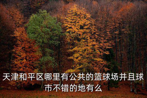 天津市和平區籃球俱樂部，天津和平區哪里有公共的籃球場并且球市不錯的地有么
